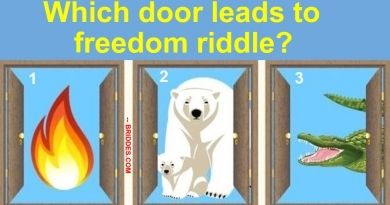 The Three Door Riddle
