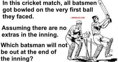 Cricket Brain Teaser