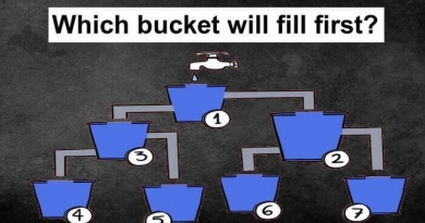 Which bucket will fill