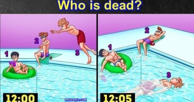 Swimming Pool Dead Per