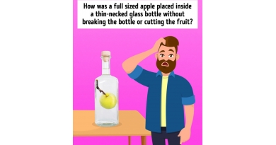Apple In Bottle Brain 