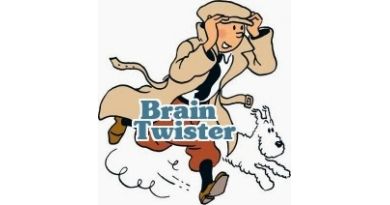 Maths Brain Twister Pu