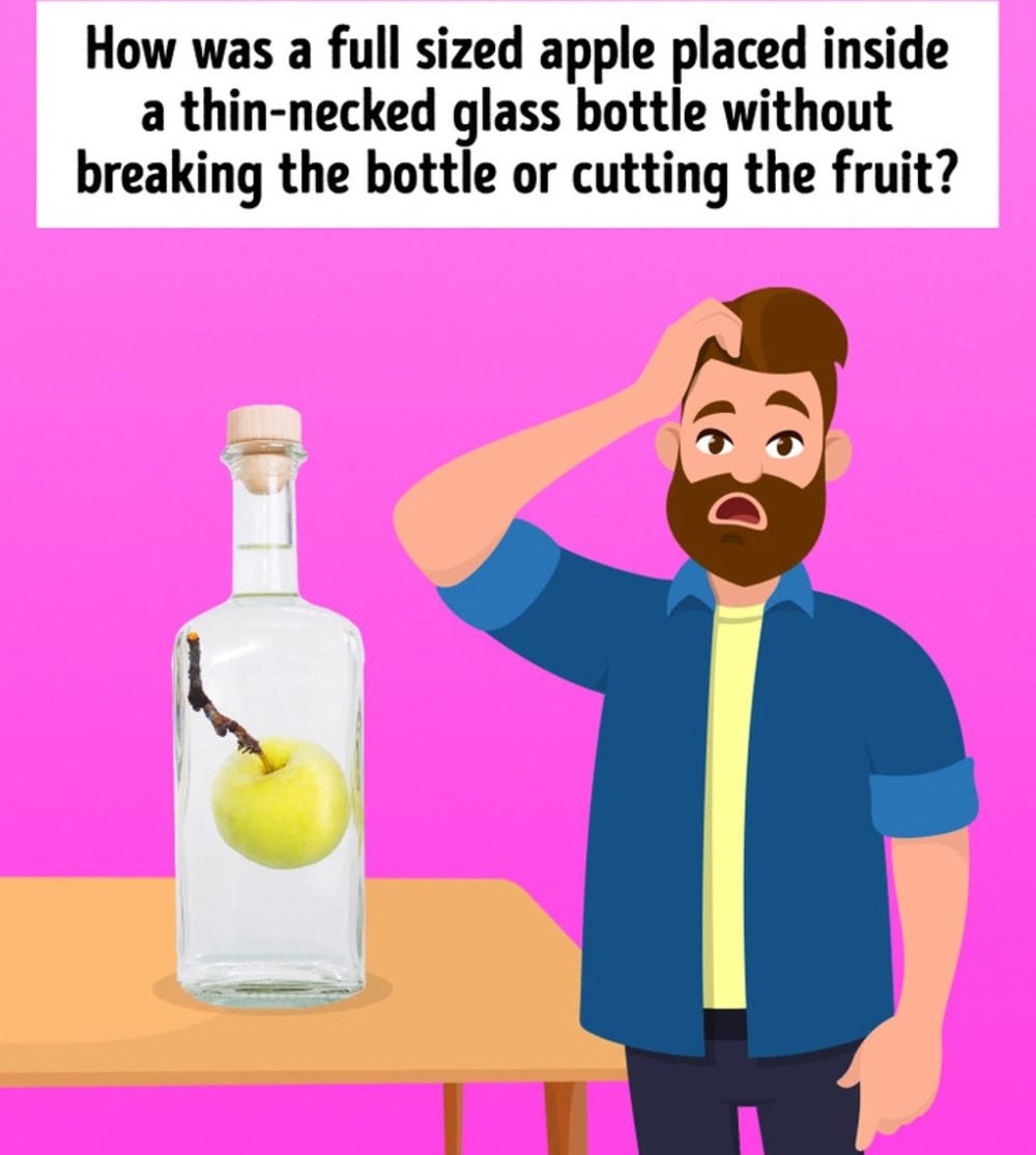 Apple In Bottle Brain Teaser