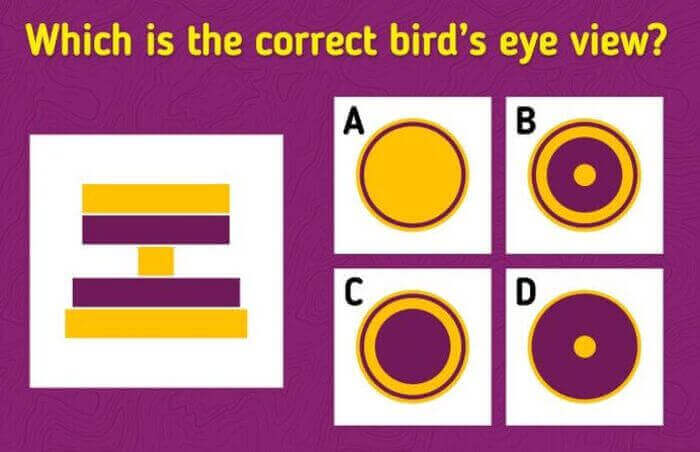 Bird's eye view Brain Teaser