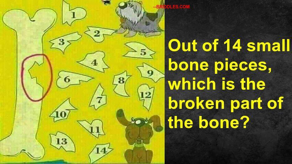 Broken Bone Fix Puzzle