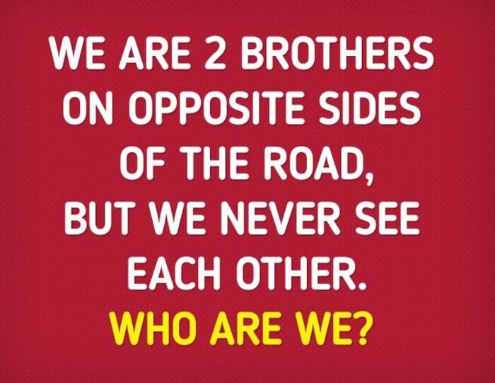 Brothers Opposite Side of Road Riddle
