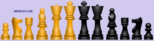 Chess Piece Visual Mistake Riddle