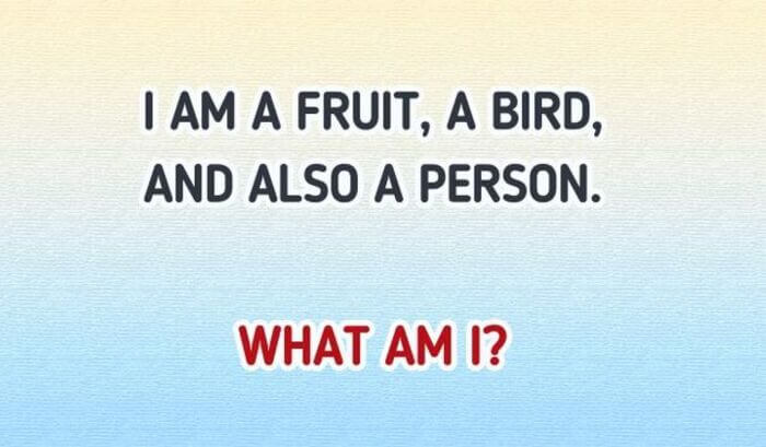 Fruit Bird Person Brain Teaser