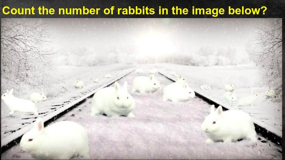 How Many Rabbits Can You See Riddle How Many Rabbits Can You See Riddle