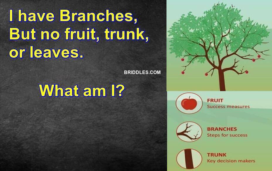 I have branches, but not fruits