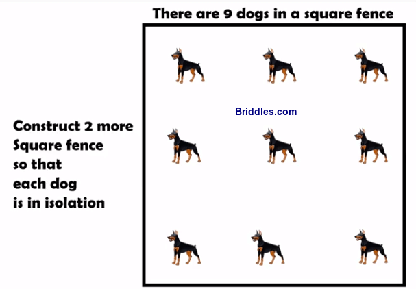 Isolate 9 Dogs Square Fence