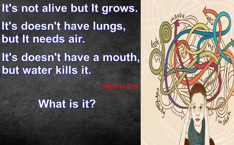 It's not alive but It grows Riddle It's not alive but It grows Riddle