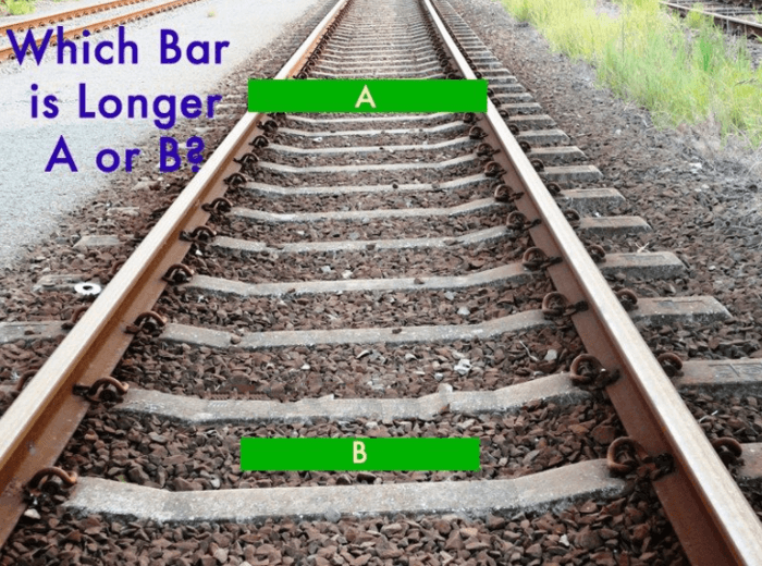 Longer Bar Optical Illusion Puzzle Longer Bar Optical Illusion Puzzle