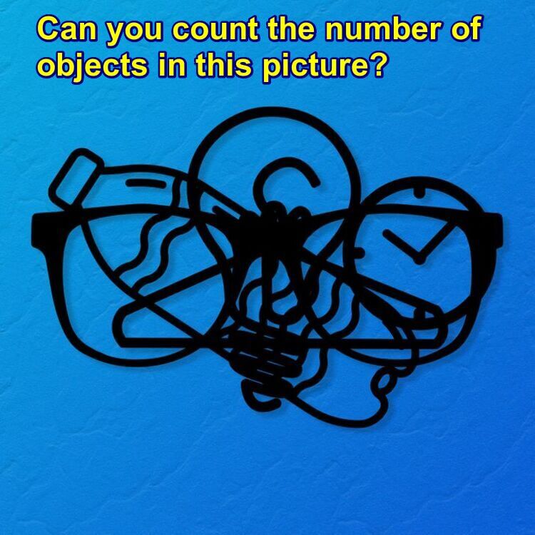 Objects Count Brain Teaser