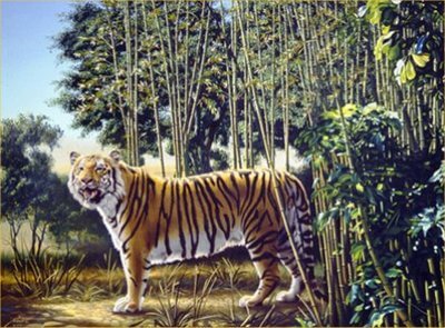 Picture Optical Illusion Riddle Picture Optical Illusion Riddle