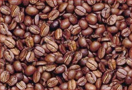 Spot Man In Coffee Bean Riddle