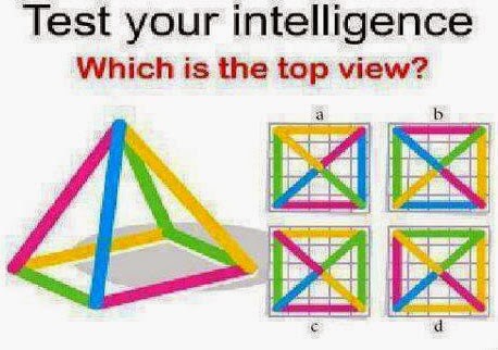 Test Your Visual Intelligence