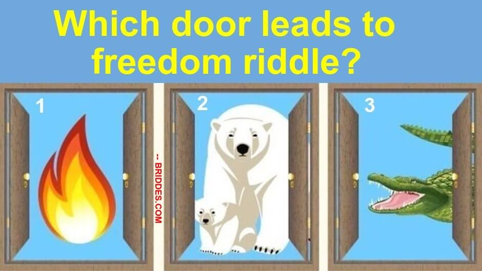 The Three Door Riddle