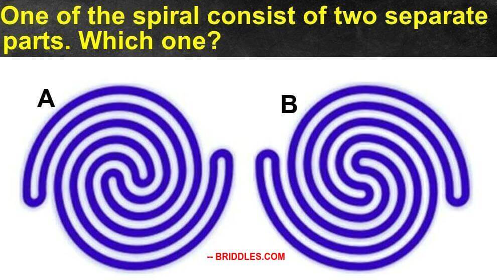 Visual Test Two Spiral Puzzle