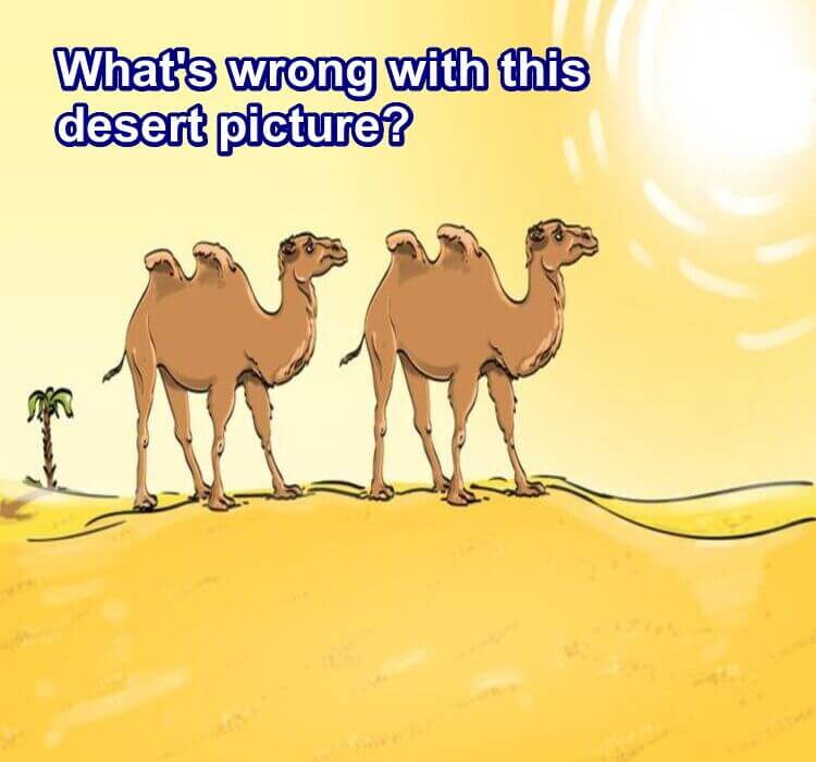 What Wrong Picture Riddle