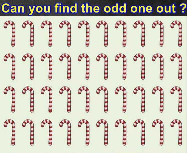 What is the odd one out What is the odd one out