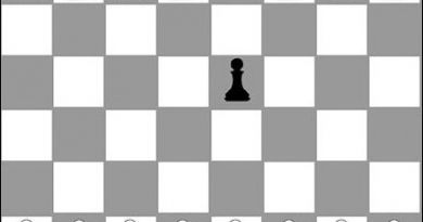 Valid Chess Move Brain